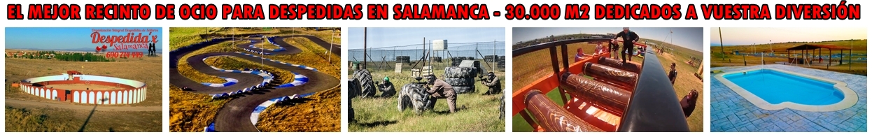 FALDON ACTIVIDADES DPDDM PISCINA