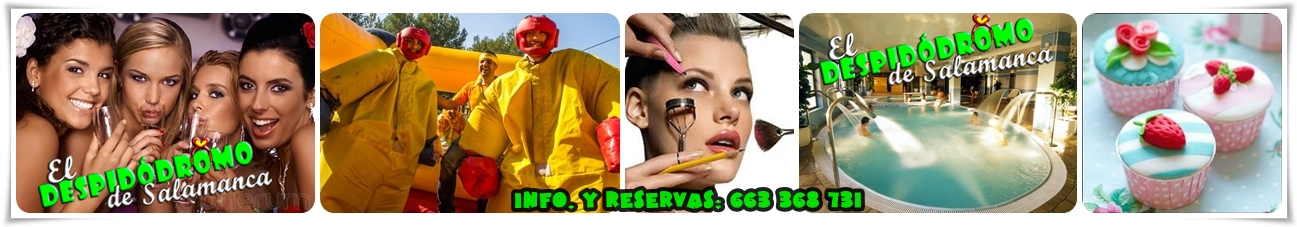 a faldon actividades FM 2015